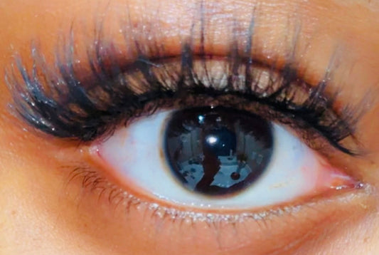 Tra's Vanity | Doll Eye Lashes