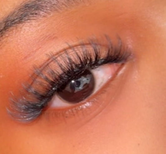 Tra's Vanity | Midnight Drama Lashes