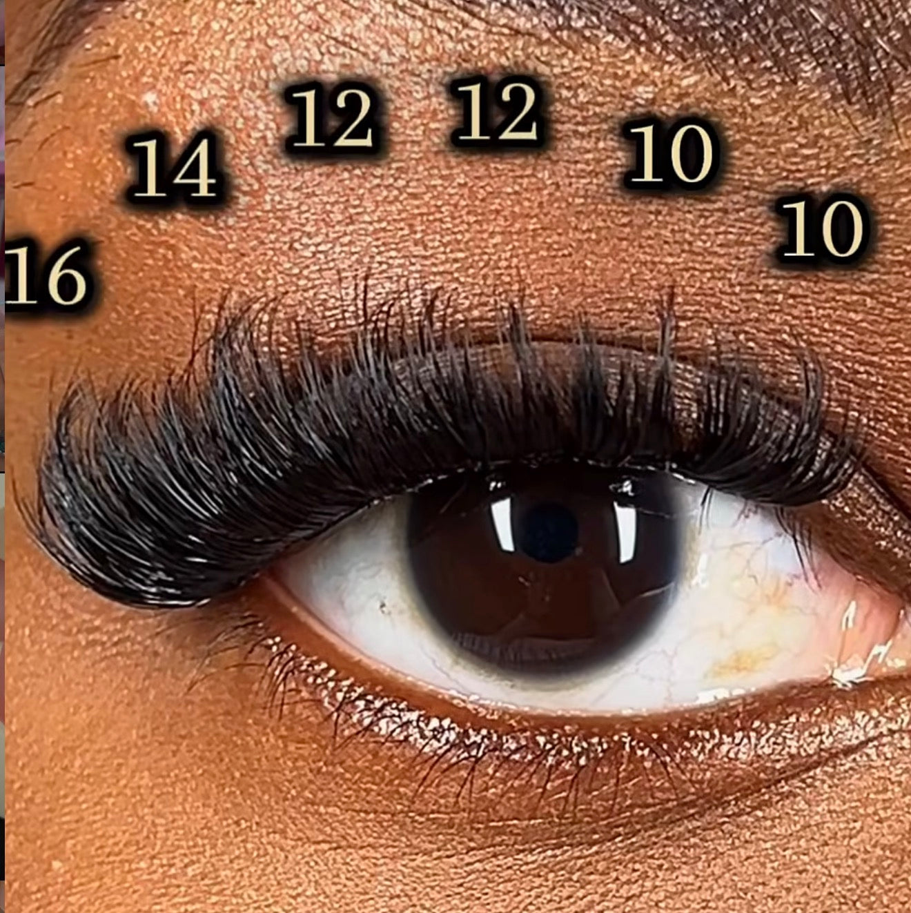 Tra's Vanity | Lash Cluster Kit