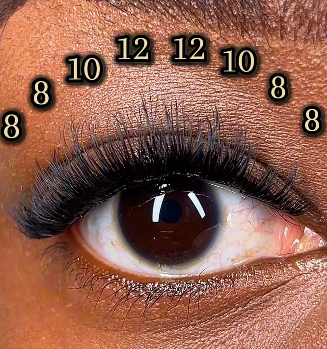 Tra's Vanity | Lash Cluster Kit